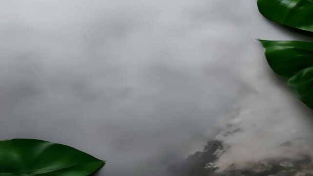Tropical leaves on a marble gray background.