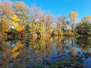 Beautiful Autumn View with reflection at Tundja River, near Ustrem Village, Bulgaria