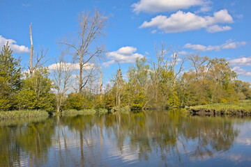 Pool with reflection of trees, blue sky and clouds on a sunny spring day in Bourgoyen nature...