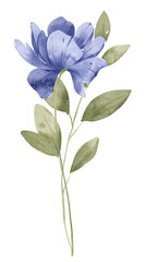 Blue flower and leaves set, floral watercolor digital illustration for greeting card, invitation and other printing design. Isolated on white. Hand drawing.