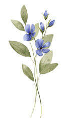 Blue flower and leaves set, floral watercolor digital illustration for greeting card, invitation and other printing design. Isolated on white. Hand drawing.