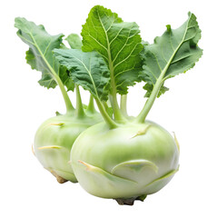 Kohlrabi (German turnip or turnip cabbage) two raw bulbs with fresh leaves isolated on white background. Ai generated