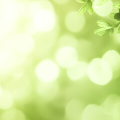 Obraz premium spring green background