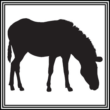 Zebra silhouette vector , wildlife animal illustration.