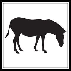 Zebra silhouette vector , wildlife animal illustration.