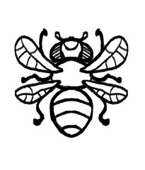 Doodle sketch drawing child fly  illustration black and white.