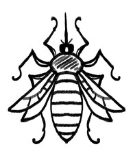 Doodle sketch drawing child mosquito illustration black and white.