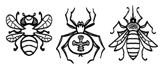 Doodle sketch drawing child mosquito fly spider set illustration black and white.