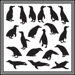 Penguin silhouette set , wildlife animal illustration.