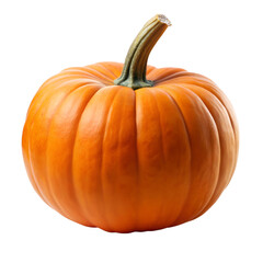 Obraz premium Pumpkin isolated on the white background. Fresh pumpkin. Ai generated