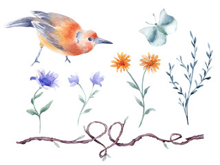 Set of bird orange, blue butterfly and twig form heart hand drawn watercolor isolated. Bird butterfly and floral arrangement in botanical sketch. Flowers element and bird painted for Valentine days.