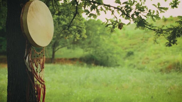 Shaman drum hanging on old tree round genuine leather musical instrument. Shamanic tambourine boho style feathers. Forest trees green grass foliage sky art video summer nature zen relax yoga video 4k