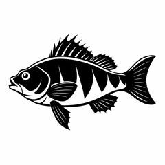 Perch Black silhouette