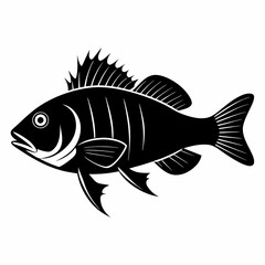 Perch Black silhouette