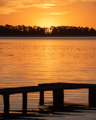 Atardecer en laguna de Buenos Aires, Argentina con increíble vista de la fauna silvestre