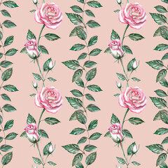 Seamless pattern with delicate roses on a pink background. Watercolor illustration on the theme of flowers for printing on fabric, packaging, for holidays