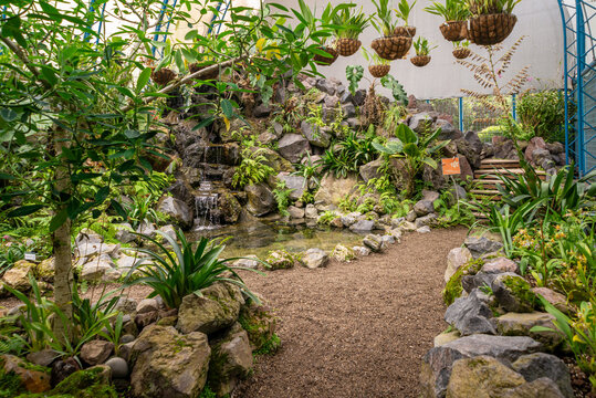 Quito, Pichincha, Ecuador - November 2013: Plants, flowers and gardens of the Jardin Botanico (Botanic Garden) in the comercial area of the city.