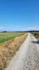 Country road with scenic view