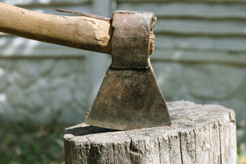 Old ax in a tree
