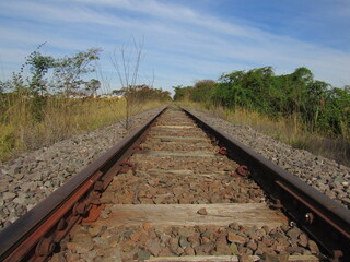 Train track with lots of trees and bushes around. Train track continues until it disappears into the horizon amidst the landscape.