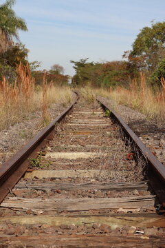Train track with lots of trees and bushes around. Train track continues until it disappears into the horizon amidst the landscape.
