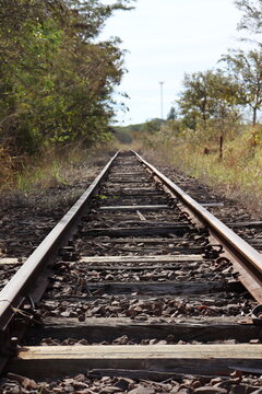 Train track with lots of trees and bushes around. Train track continues until it disappears into the horizon amidst the landscape.