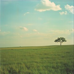 A peaceful savannah scene, with green grasslands stretching to the horizon and a few trees silhouetted against the sky