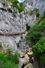 A view from the Horma Canyon hike in Pinarbasi, Kastamonu, Turkey

