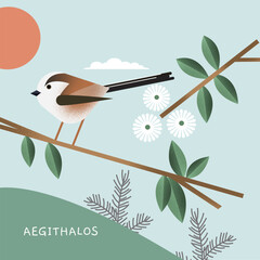 Long tailed tit, Aegithalos caudatus bird, perched on a branch, vector illustration
