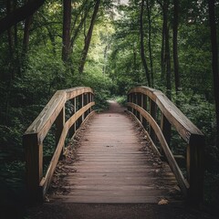 Obraz premium A wooden bridge in the middle of a nature trail, with the surrounding forest creating a serene atmosphere
