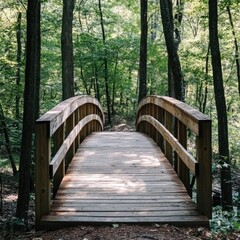 Obraz premium A wooden bridge in the middle of a nature trail, with the surrounding forest creating a serene atmosphere