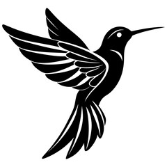 humming-bird-silhouette-vector-illustration-  on a white background 