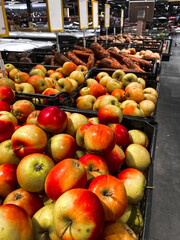 Vegetable shelves in the store. Fruits and vegetables on the shelves of the supermarket. Buying vegetables and fruits
