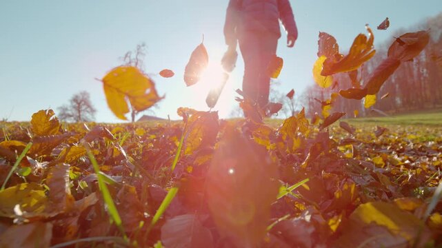 SLOW MOTION, CLOSE UP, LOW ANGLE, LENS FLARE: Female landscaper uses a leaf blower to clear the lawn on a sunny autumn day. Detailed shot of a woman using a leaf blower to clear leaves from the yard.