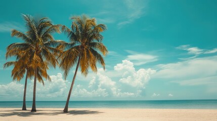 Fototapeta premium Vintage stylized with film light leaks palm tree on tropical beach
