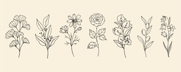 Hand drawn ginkgo, eucalyptus, cosmos, rose, bougainvillea, olive, bluebell