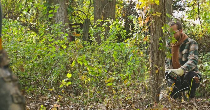 Young Man Chainsawing Tree In Woods