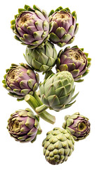 Obraz premium Close-up of raw artichokes, transparent