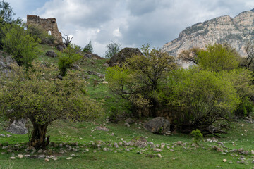 ruins of fortresses in the mountains