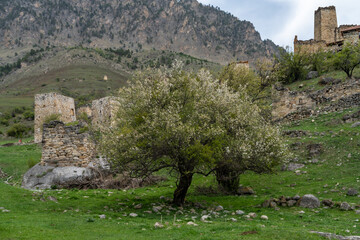 ruins of fortresses in the mountains