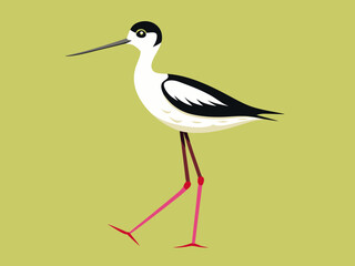 Échassier de l’avocette 