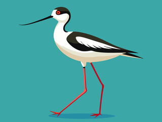 Échassier de l’avocette 