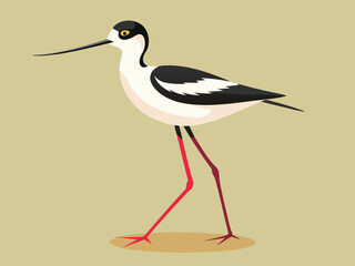Échassier de l’avocette 