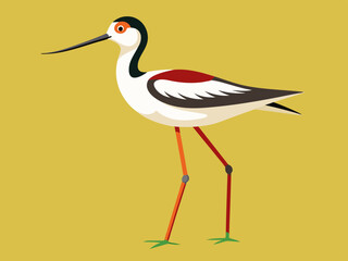 Échassier de l’avocette 