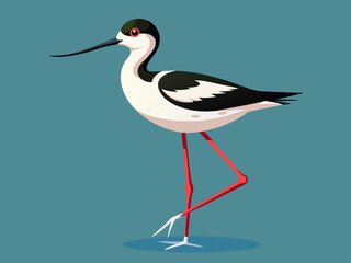 Échassier de l’avocette 