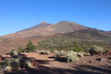 Mount Teide, Tenerife