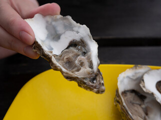 Close-up of a hand holding an oyster during tasting. Freshly caught oysters.
Seafood. Oyster as a...