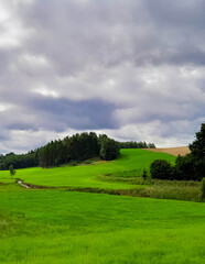 Storm is coming. Cloudy sky over Kashubian meadows.