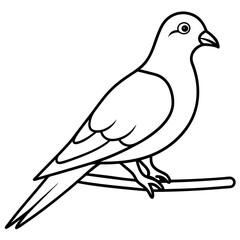 Vector art of a pigeon illustration on a white background