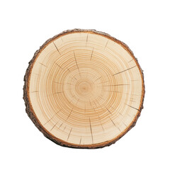 A close-up view of a wooden log slice showcasing natural rings and textures, perfect for organic and rustic themes. transparent background